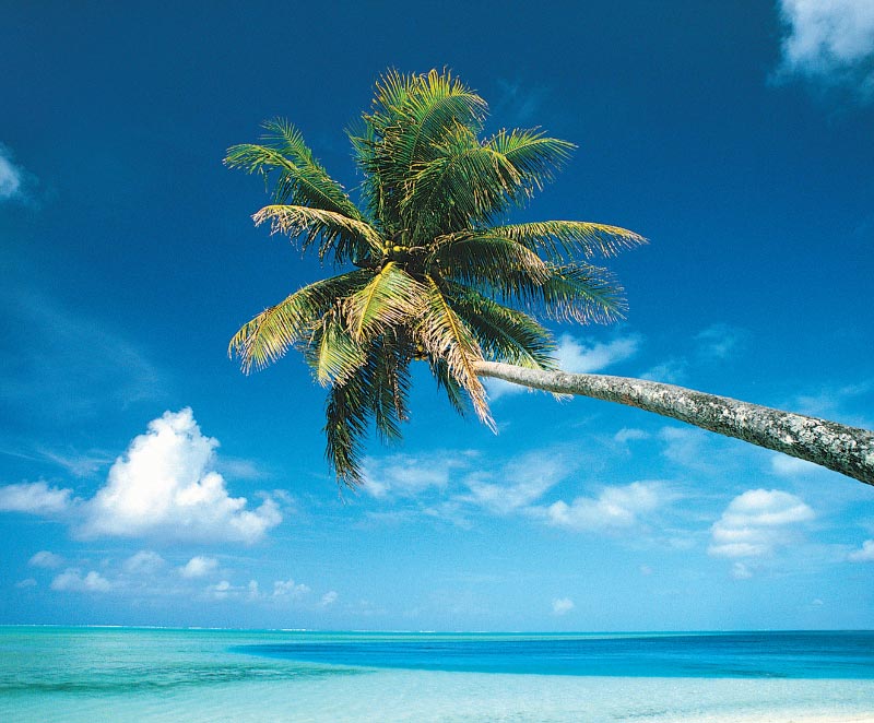 Gli atolli