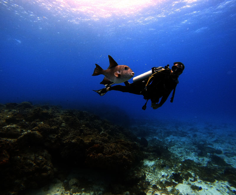 centri diving specializzati in Polinesia