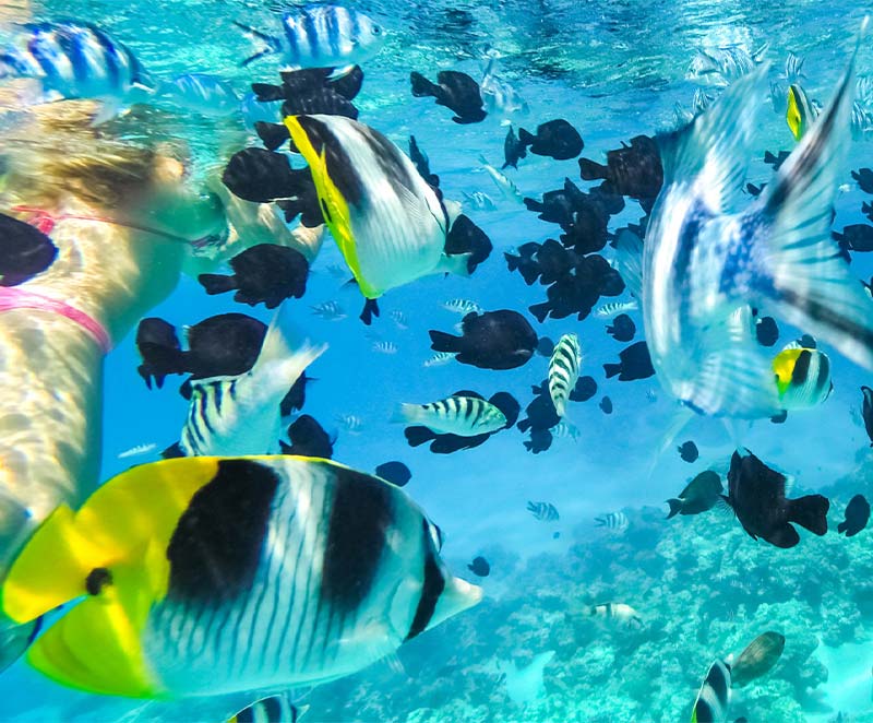 Organizzare una vacanza in Polinesia